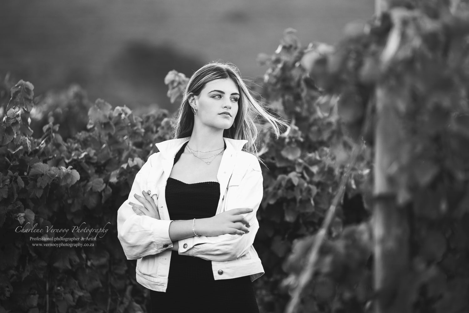 DA_36bw-min